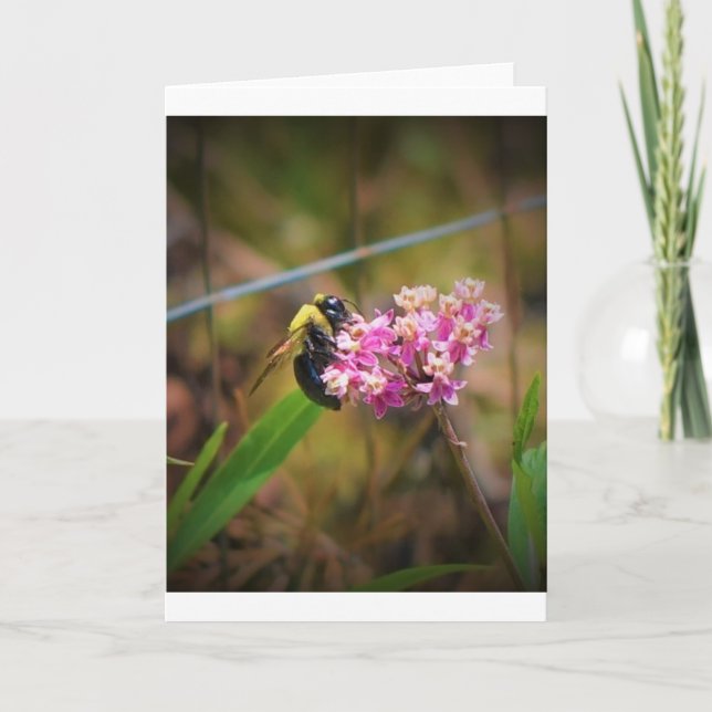 Biene, Karte (Vorderseite)