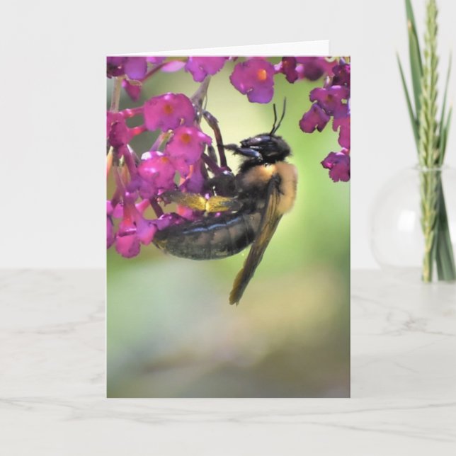 Biene, Karte (Vorderseite)