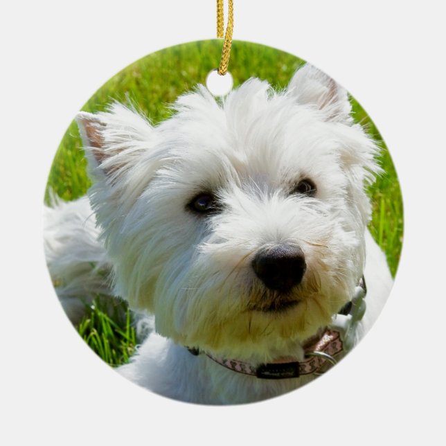 Biene Keramik Ornament (Vorne)