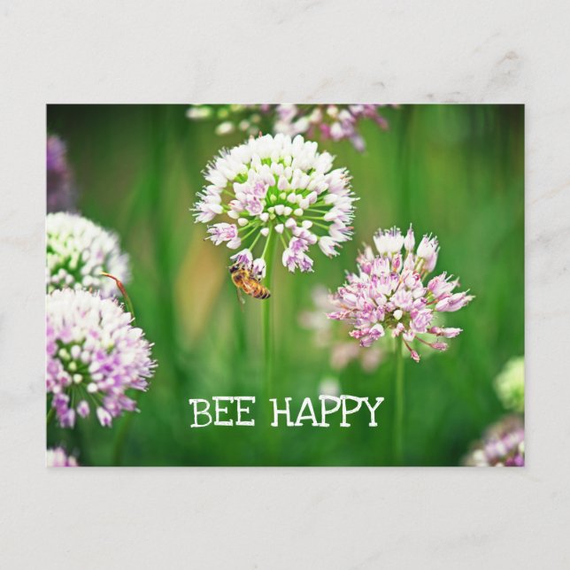 Biene mit Lila Allium Garden Blume Motivierend Postkarte (Vorderseite)