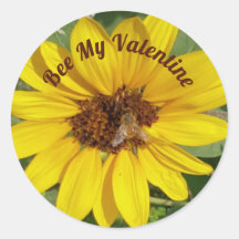 Biene My Valentine Foto der Biene auf Sonnenblume