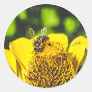 Biene n gelbe Blume Runder Aufkleber