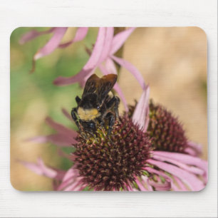 Biene on Black Mit Augen Susan Pano Mousepad