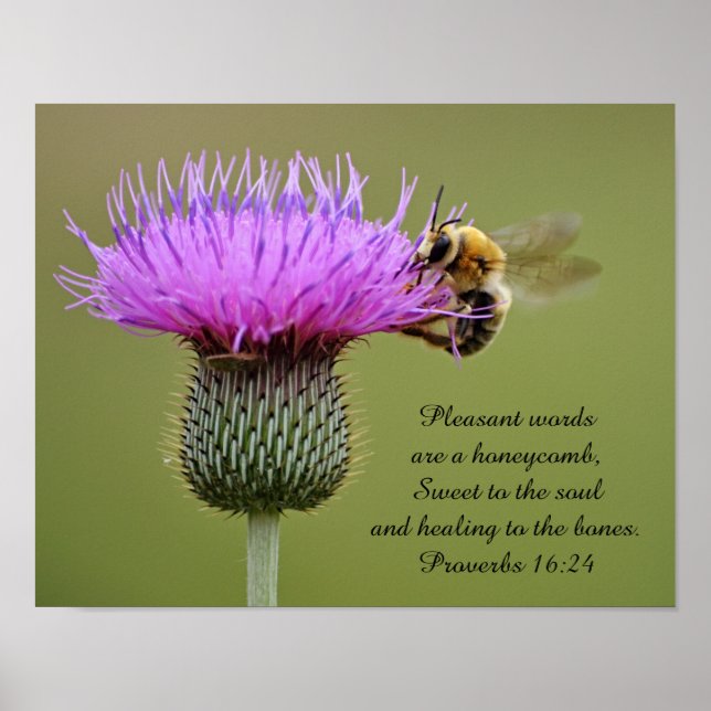 Biene on Thistle Scripture Fotografy Art Print Poster (Vorne)