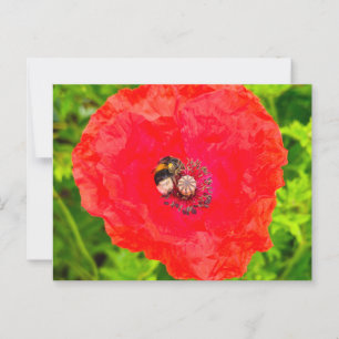 Biene Postkarte