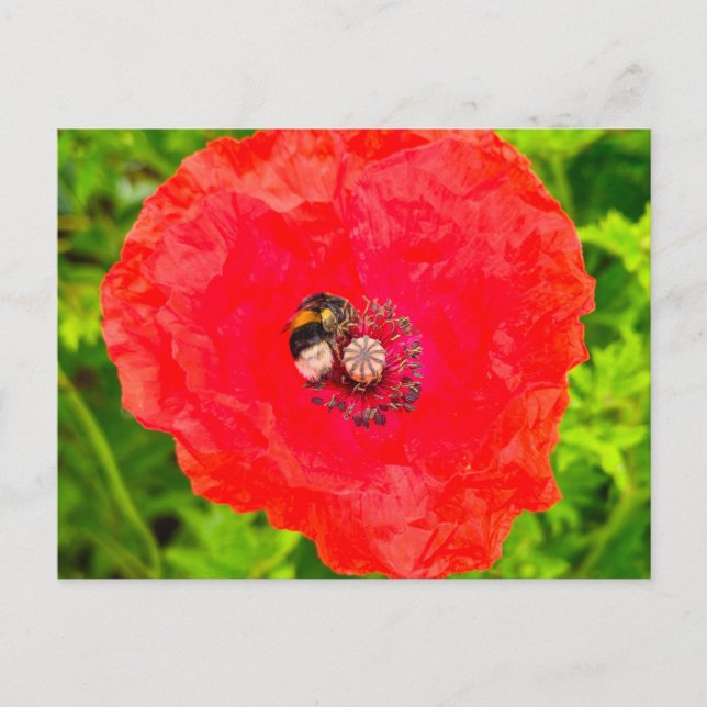 Biene Postkarte (Vorderseite)