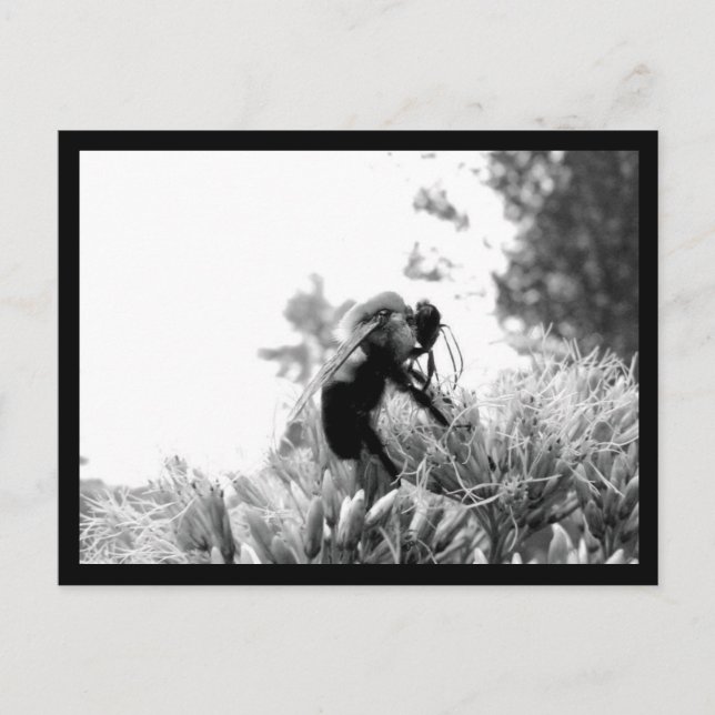 Biene Postkarte (Vorderseite)