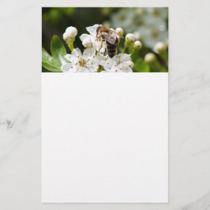 Biene sammelt Blütenstaub Flyer