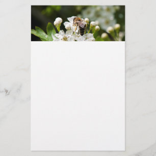 Biene sammelt Pollen Briefpapier