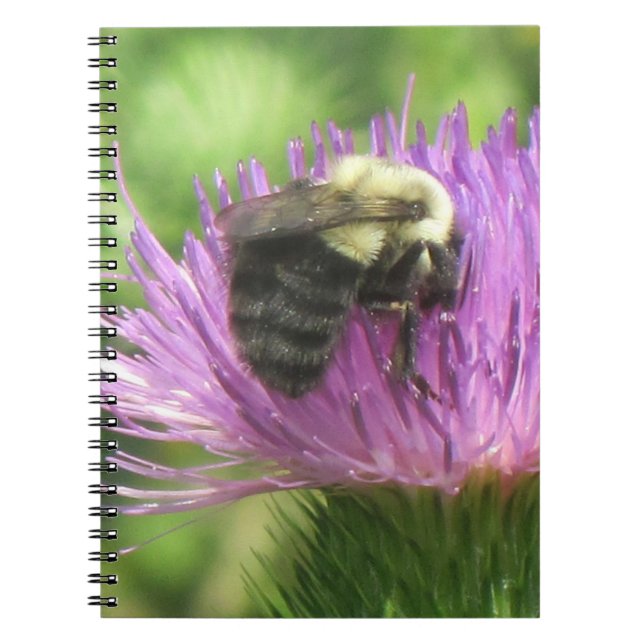 Biene & Thistle-Notebook Notizblock (Vorderseite)