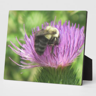 Biene & Thistle Plaque Fotoplatte
