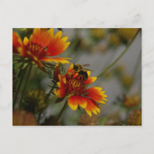 Biene und Blume Postkarte