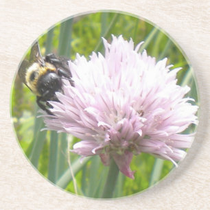 Biene und Chive Blume Sandstein Untersetzer