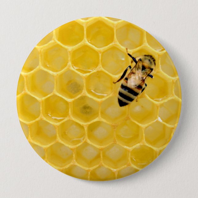 Biene und Honigwabe Button (Vorderseite)