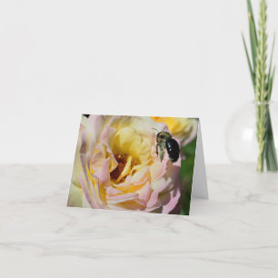Biene und Rose Blumenfotografie Notiz Karte