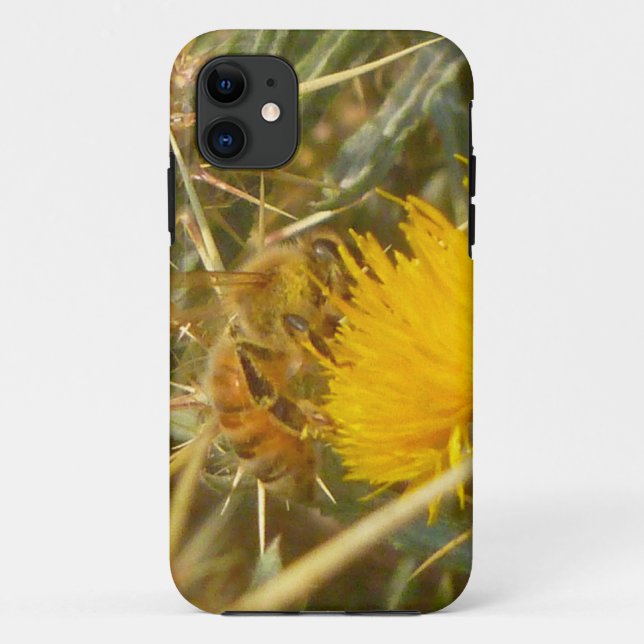 Biene und Star Thistle (Centaurea solstitialis) Case-Mate iPhone Hülle (Rückseite)