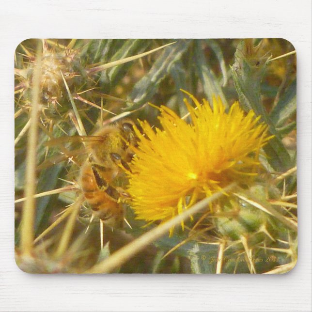Biene und Star Thistle (Centaurea solstitialis) Mousepad (Vorne)