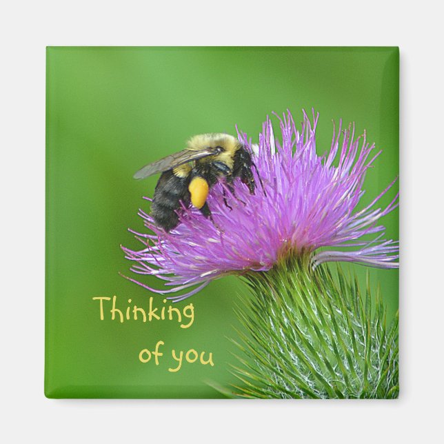 Biene und Thistle Magnet (Vorne)
