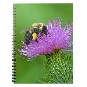 Biene und Thistle-Notebook Notizblock