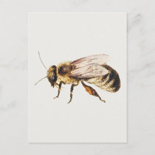Biene von Blatt der Studien von neun Insekten Postkarte