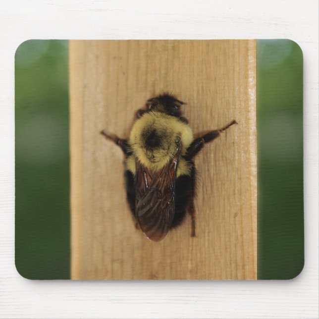 Biene-zilla Mousepad (Vorne)