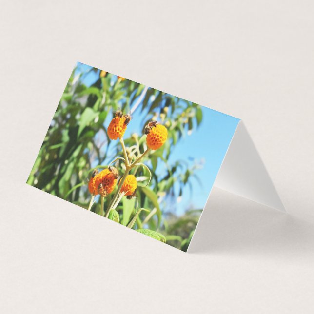 Bienen am Arbeitsplatz - Blankokarte (Vorderseite)