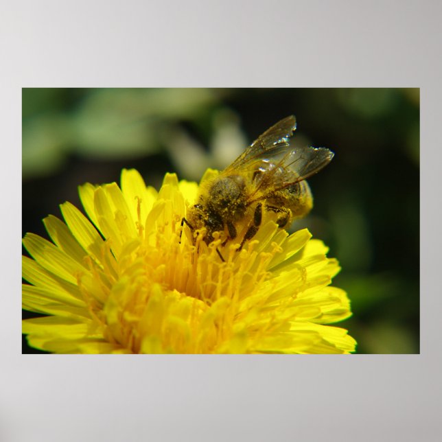 Bienen am Arbeitsplatz-Poster Poster (Vorne)