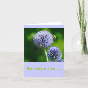 Bienen auf Lila Allium, (Fotog)"War als Biene besc Karte
