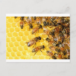 Bienen Hive Honey Comb Sweet Dessert Yellow Postkarte