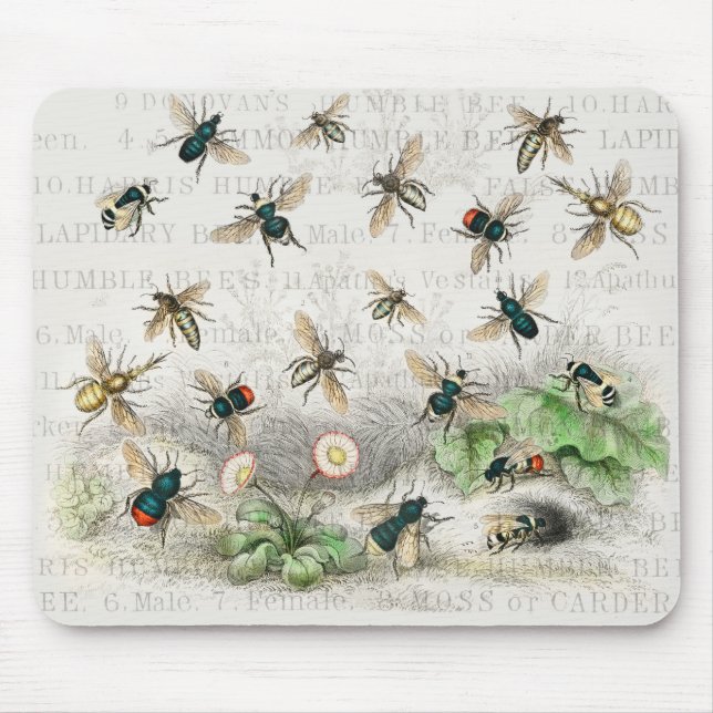 Bienen Honey Worker Queen Nature Antique Bees Mousepad (Vorne)