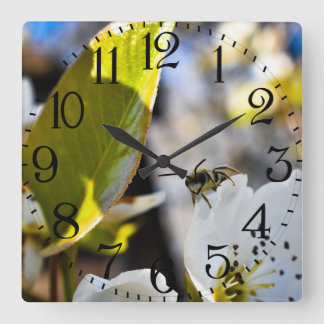 Bienen-Kunst-Wanduhr Quadratische Wanduhr