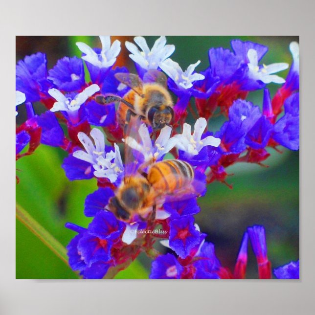 Bienen, Liebe & Bliss Poster (Vorne)