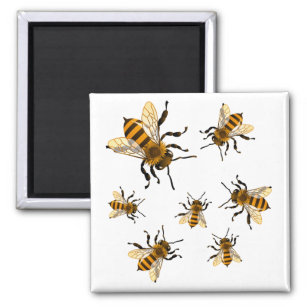 Bienen Magnet