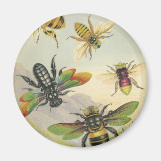Bienen Magnet