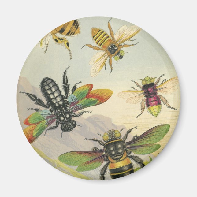 Bienen Magnet (Vorne)