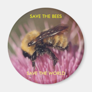 Bienen-Magnet Magnet
