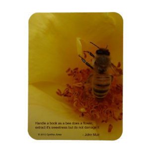 Bienen-Magnet Magnet