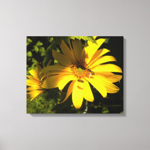 Bienen N Sonnenblumen gepanzerte Canvas Leinwanddruck