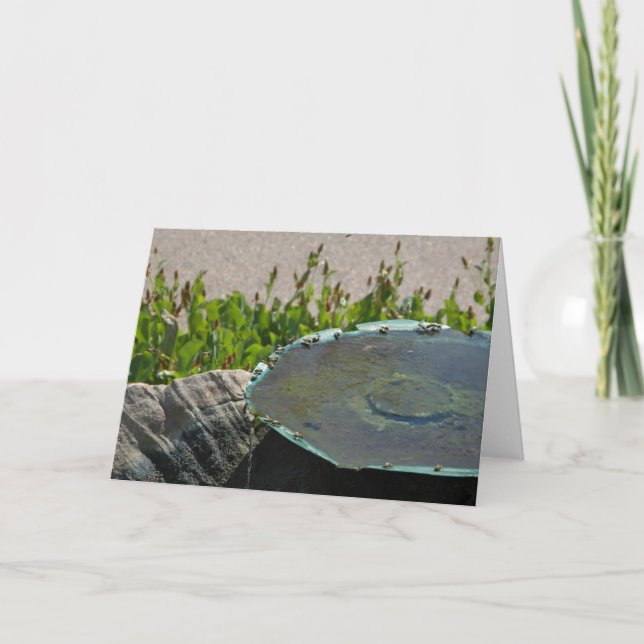 Bienen, Phoenix, Arizona Karte (Vorderseite)