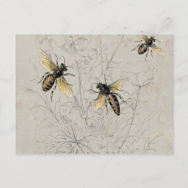 Bienen Postkarte (Vorderseite)