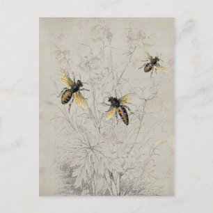 Bienen Postkarte