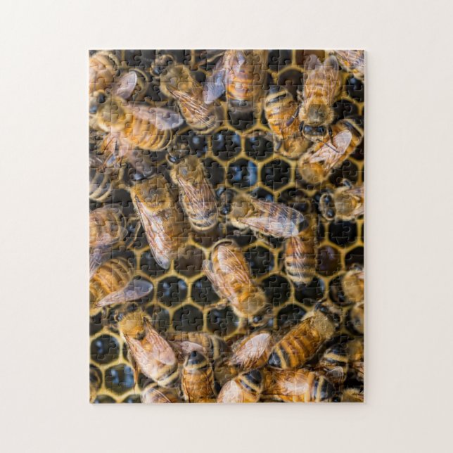 Bienen-Puzzlespiel Puzzle (Vertikal)