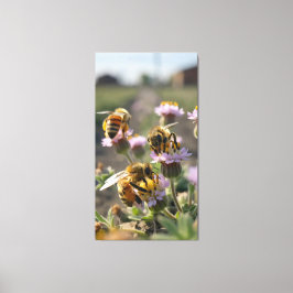 Bienen sammeln Pollen von Wildblumen auf dem Bauer Leinwanddruck