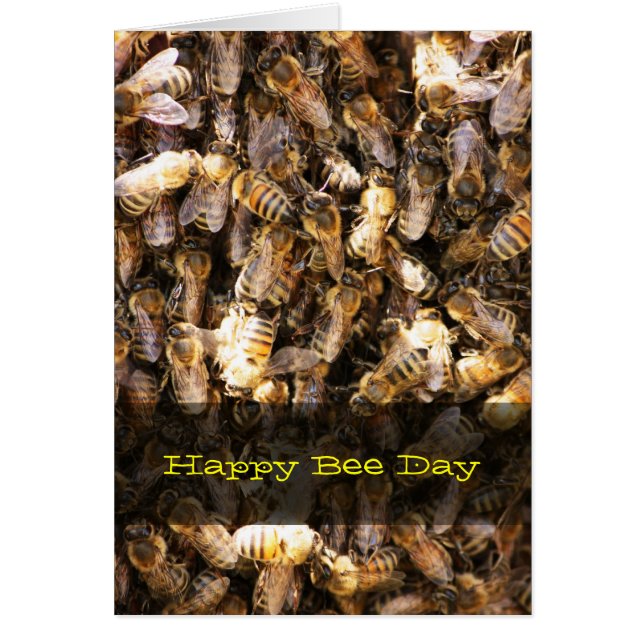 Bienen-Schwarm (Vorne)