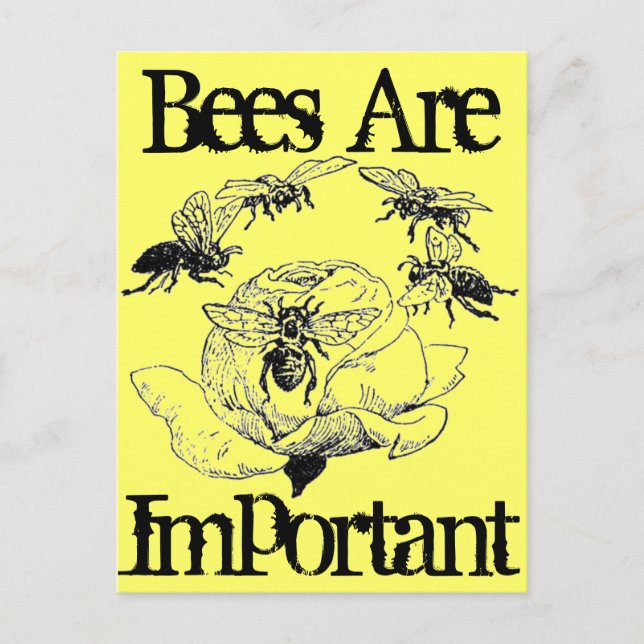 Bienen sind wichtige Postkarten (Vorderseite)