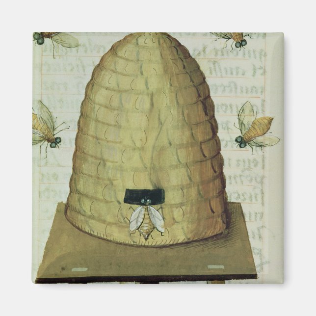 Bienen und Bienen Magnet (Vorne)