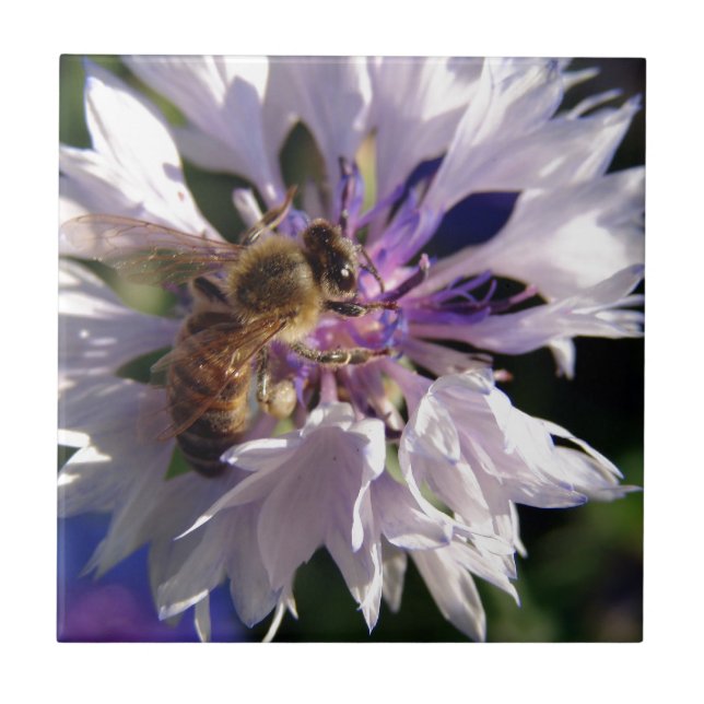 Bienen und Blaue Blume Fliese (Vorderseite)