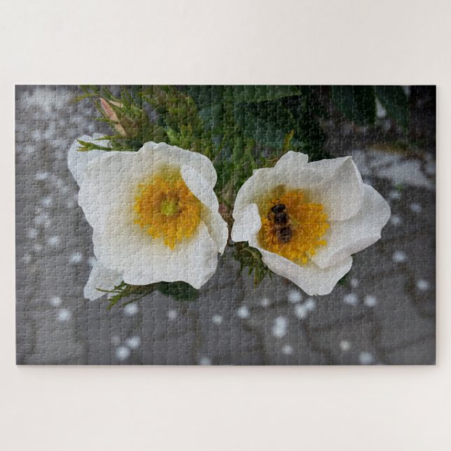 Bienen und Blume im Frühjahr Puzzle (Horizontal)