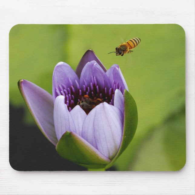 Bienen-und Blume Mausunterlage Mousepad (Vorne)