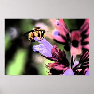 Bienen und Blume Poster